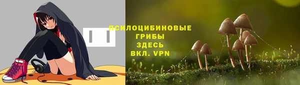 герыч Бронницы