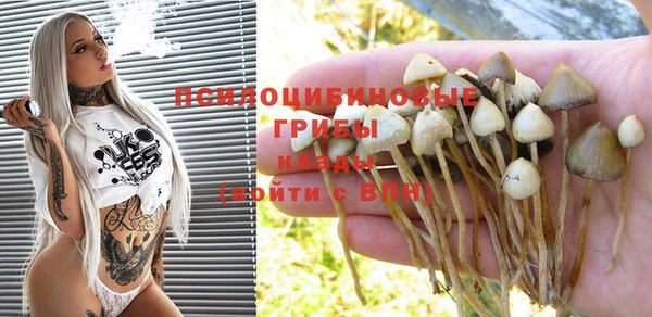 герыч Бронницы