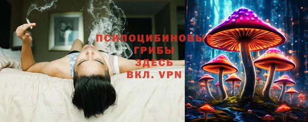 герыч Бронницы